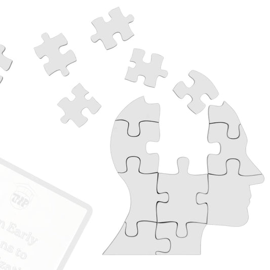 History Education: Not a Memory Game